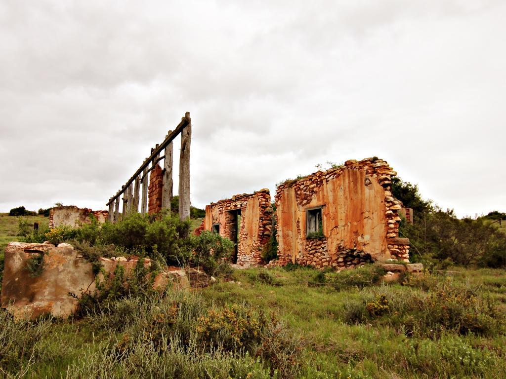 Hlosi Game Lodge - Amakhala Game Reserve Buyskloof Exterior photo