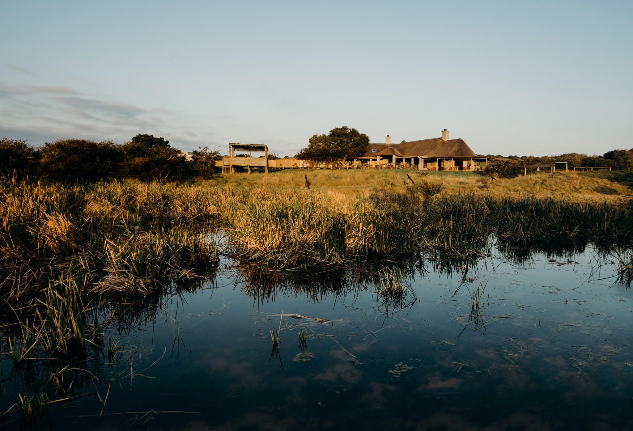 Hlosi Game Lodge - Amakhala Game Reserve Buyskloof Exterior photo