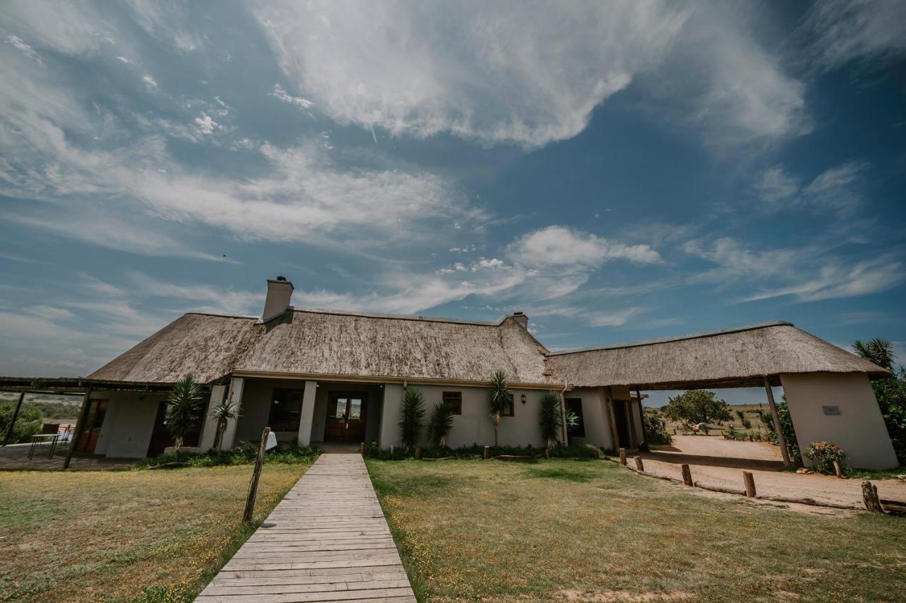 Hlosi Game Lodge - Amakhala Game Reserve Buyskloof Exterior photo